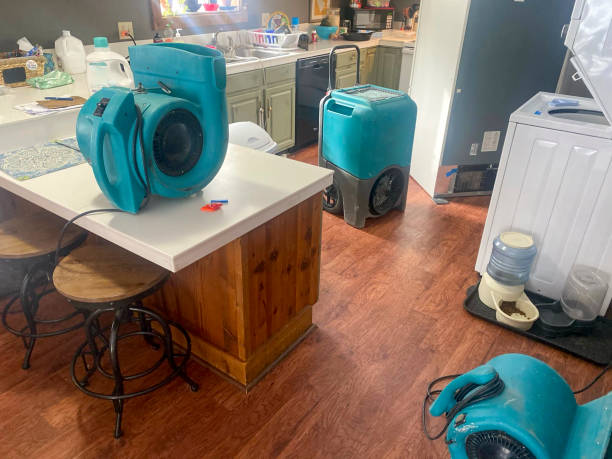 Best Water damage restoration specialists  in Proctor, MN