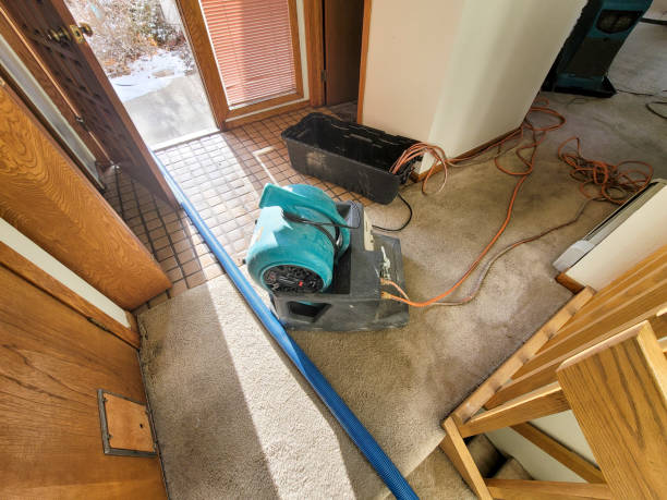 Professional Water damage restoration in Proctor, MN