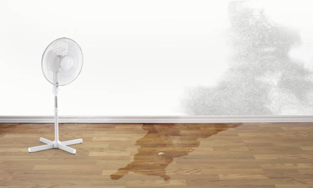 Water damage restoration experts in Proctor, MN