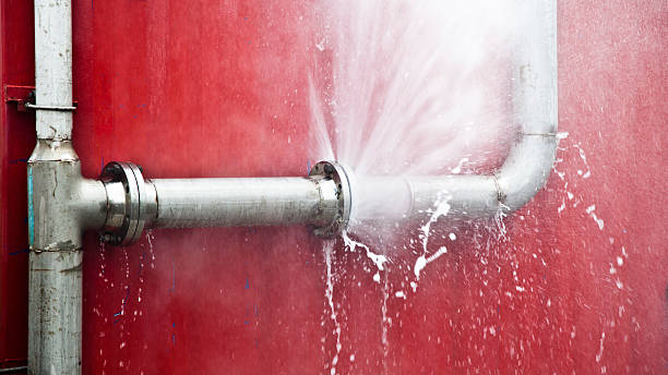 Best Professional water damage repair  in Proctor, MN